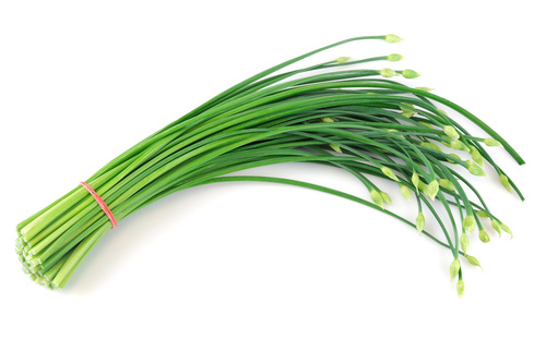 chives fertilizer