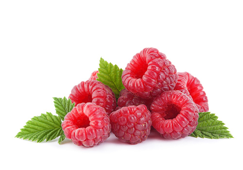 raspberry fertilizer - Haifa Group