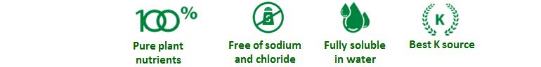 Potassium nitrate - A synergistic effect