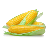 Corn