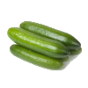 Cucumber