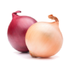 Onion