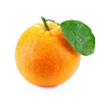 Citrus