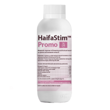 HaifaStim™ Promo