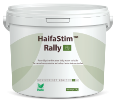 HaifaStim™ Rally